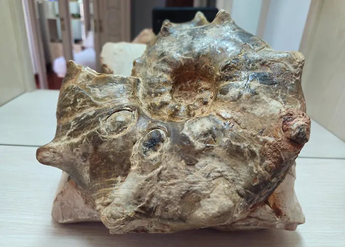 Valdearenas דירה